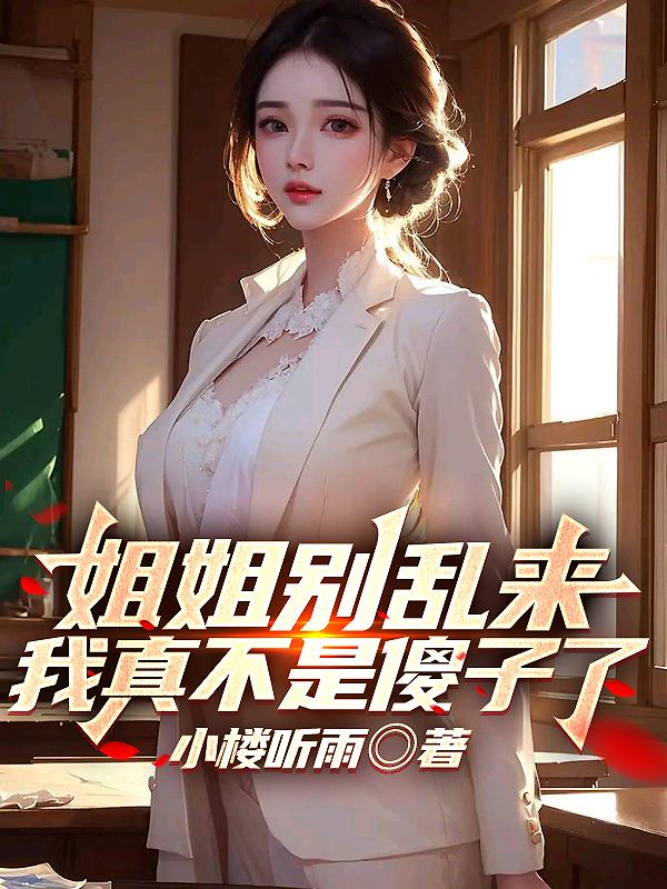 姐姐别乱来我不是傻子完结版